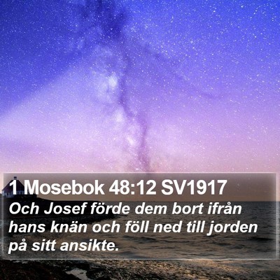 1 Mosebok 48:12 SV1917 Bible Verse Image