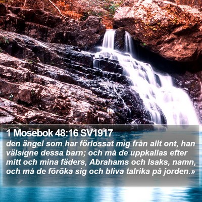 1 Mosebok 48:16 SV1917 Bible Verse Image