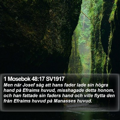 1 Mosebok 48:17 SV1917 Bible Verse Image