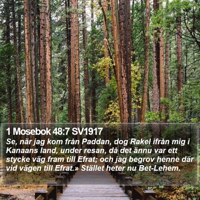 1 Mosebok 48:7 SV1917 Bible Verse Image