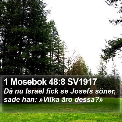 1 Mosebok 48:8 SV1917 Bible Verse Image