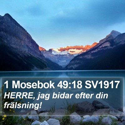 1 Mosebok 49:18 SV1917 Bible Verse Image