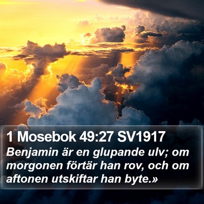 1 Mosebok 49:27 SV1917 Bible Verse Image
