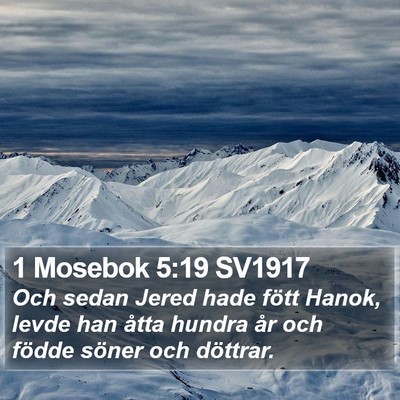 1 Mosebok 5:19 SV1917 Bible Verse Image