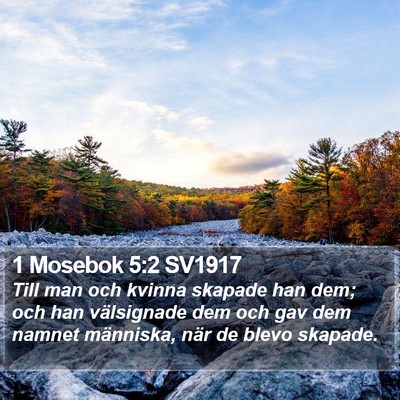1 Mosebok 5:2 SV1917 Bible Verse Image