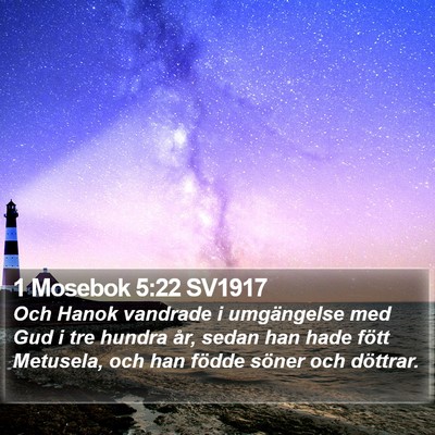1 Mosebok 5:22 SV1917 Bible Verse Image