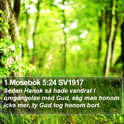 1 Mosebok 5:24 SV1917 Bible Verse Image