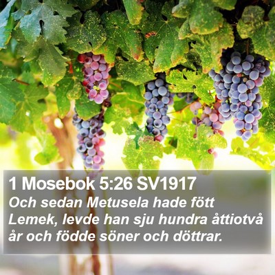 1 Mosebok 5:26 SV1917 Bible Verse Image