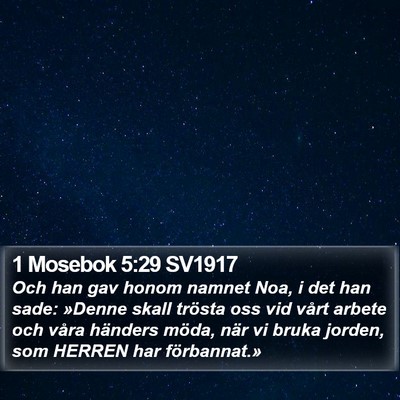 1 Mosebok 5:29 SV1917 Bible Verse Image