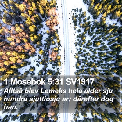 1 Mosebok 5:31 SV1917 Bible Verse Image