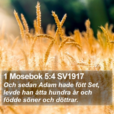1 Mosebok 5:4 SV1917 Bible Verse Image