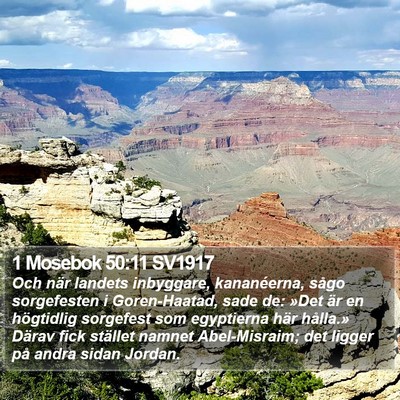 1 Mosebok 50:11 SV1917 Bible Verse Image