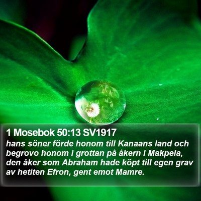 1 Mosebok 50:13 SV1917 Bible Verse Image