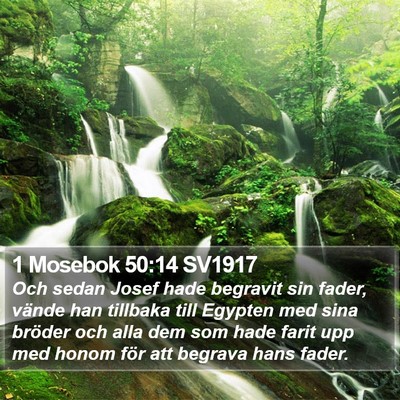1 Mosebok 50:14 SV1917 Bible Verse Image