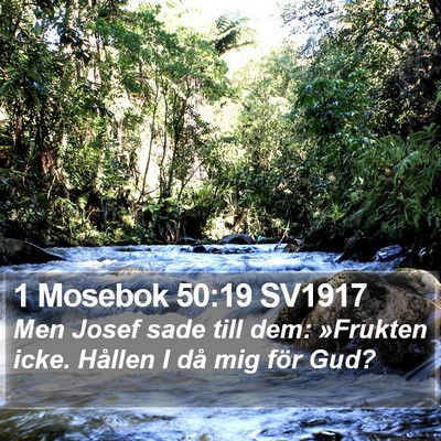 1 Mosebok 50:19 SV1917 Bible Verse Image