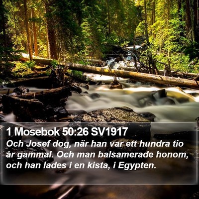 1 Mosebok 50:26 SV1917 Bible Verse Image