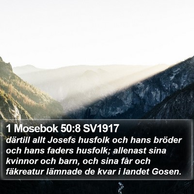 1 Mosebok 50:8 SV1917 Bible Verse Image
