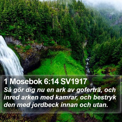 1 Mosebok 6:14 SV1917 Bible Verse Image