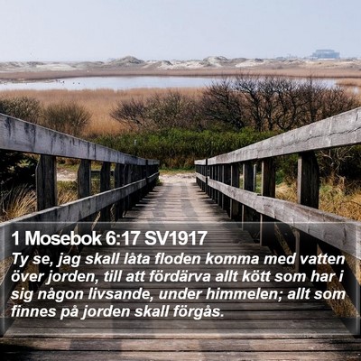 1 Mosebok 6:17 SV1917 Bible Verse Image