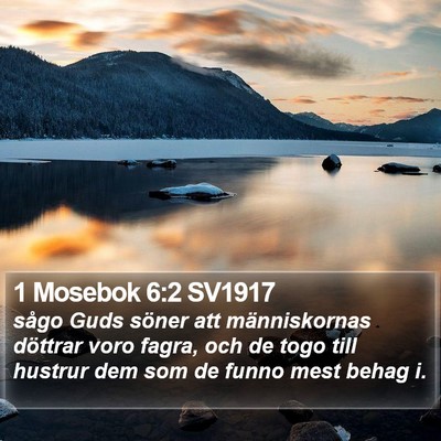1 Mosebok 6:2 SV1917 Bible Verse Image