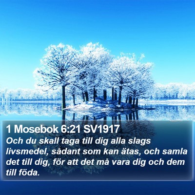 1 Mosebok 6:21 SV1917 Bible Verse Image