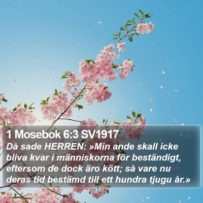 1 Mosebok 6:3 SV1917 Bible Verse Image