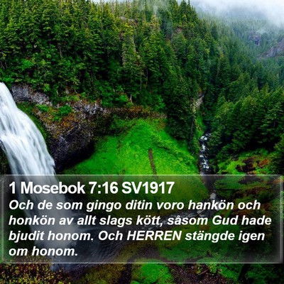1 Mosebok 7:16 SV1917 Bible Verse Image