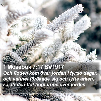 1 Mosebok 7:17 SV1917 Bible Verse Image