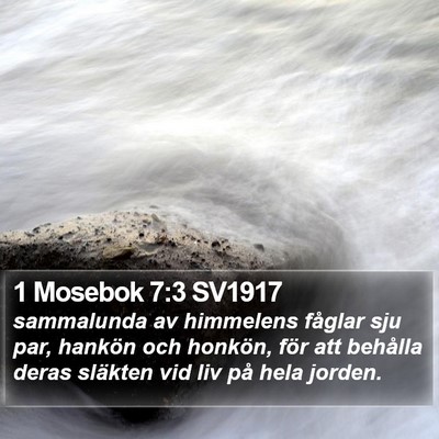 1 Mosebok 7:3 SV1917 Bible Verse Image