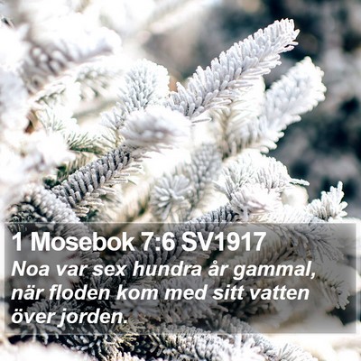 1 Mosebok 7:6 SV1917 Bible Verse Image