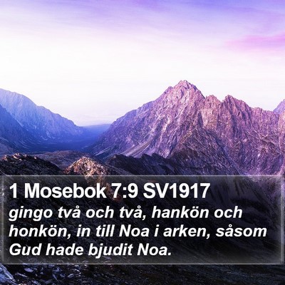 1 Mosebok 7:9 SV1917 Bible Verse Image