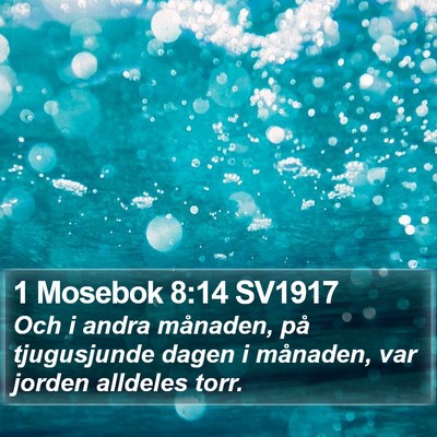 1 Mosebok 8:14 SV1917 Bible Verse Image