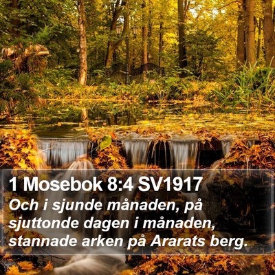 1 Mosebok 8:4 SV1917 Bible Verse Image