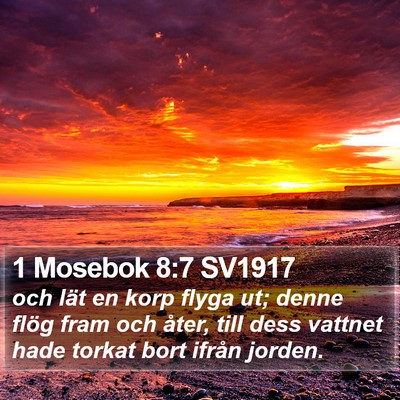 1 Mosebok 8:7 SV1917 Bible Verse Image