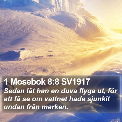 1 Mosebok 8:8 SV1917 Bible Verse Image