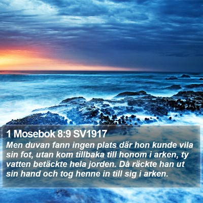 1 Mosebok 8:9 SV1917 Bible Verse Image