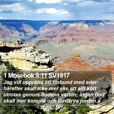 1 Mosebok 9:11 SV1917 Bible Verse Image