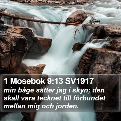 1 Mosebok 9:13 SV1917 Bible Verse Image