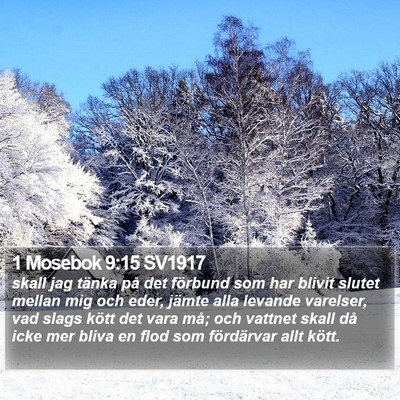 1 Mosebok 9:15 SV1917 Bible Verse Image