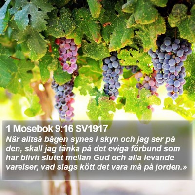 1 Mosebok 9:16 SV1917 Bible Verse Image