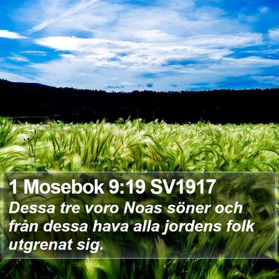 1 Mosebok 9:19 SV1917 Bible Verse Image
