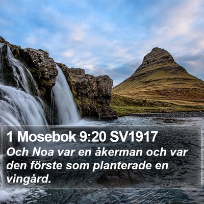 1 Mosebok 9:20 SV1917 Bible Verse Image