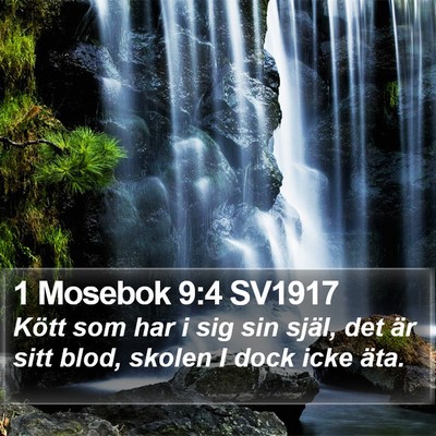1 Mosebok 9:4 SV1917 Bible Verse Image