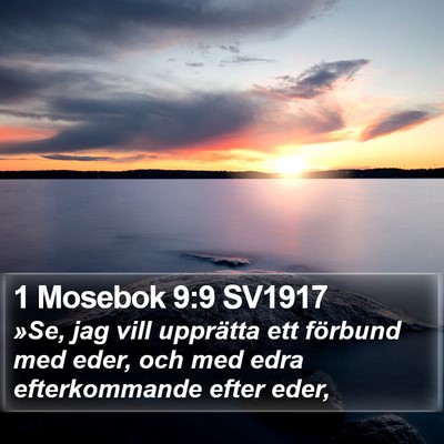 1 Mosebok 9:9 SV1917 Bible Verse Image