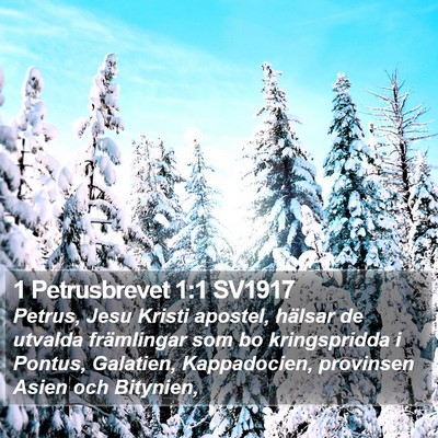 1 Petrusbrevet 1:1 SV1917 Bible Verse Image