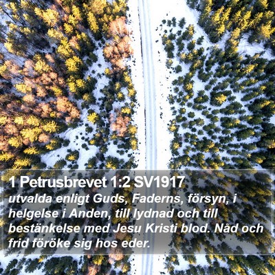 1 Petrusbrevet 1:2 SV1917 Bible Verse Image