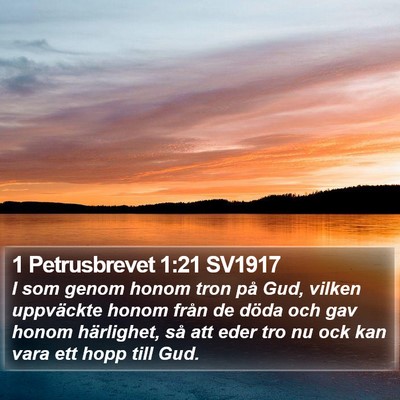 1 Petrusbrevet 1:21 SV1917 Bible Verse Image