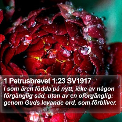1 Petrusbrevet 1:23 SV1917 Bible Verse Image