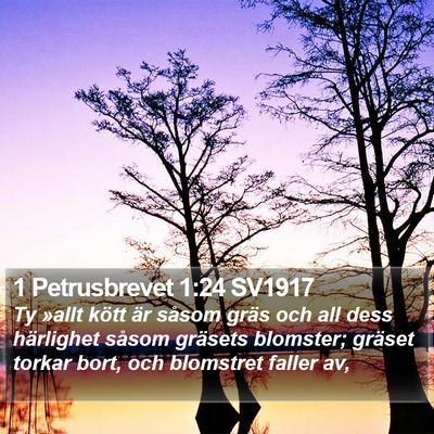 1 Petrusbrevet 1:24 SV1917 Bible Verse Image