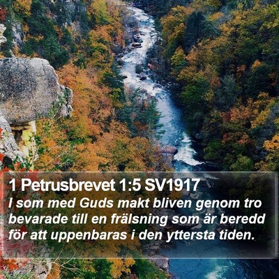 1 Petrusbrevet 1:5 SV1917 Bible Verse Image